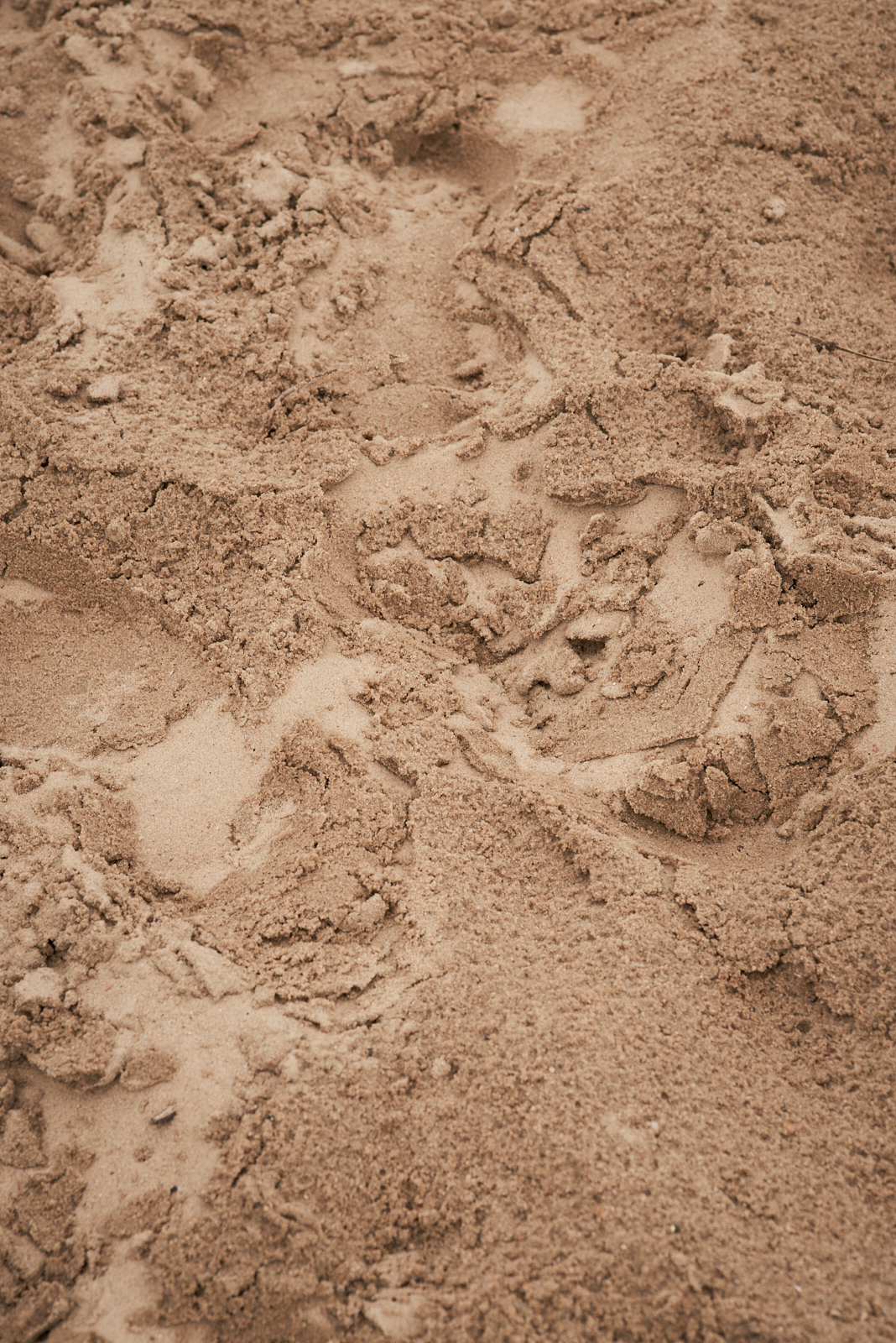 Lena Scherer – Ni..Ten  niten_boberg_natur_003.jpg