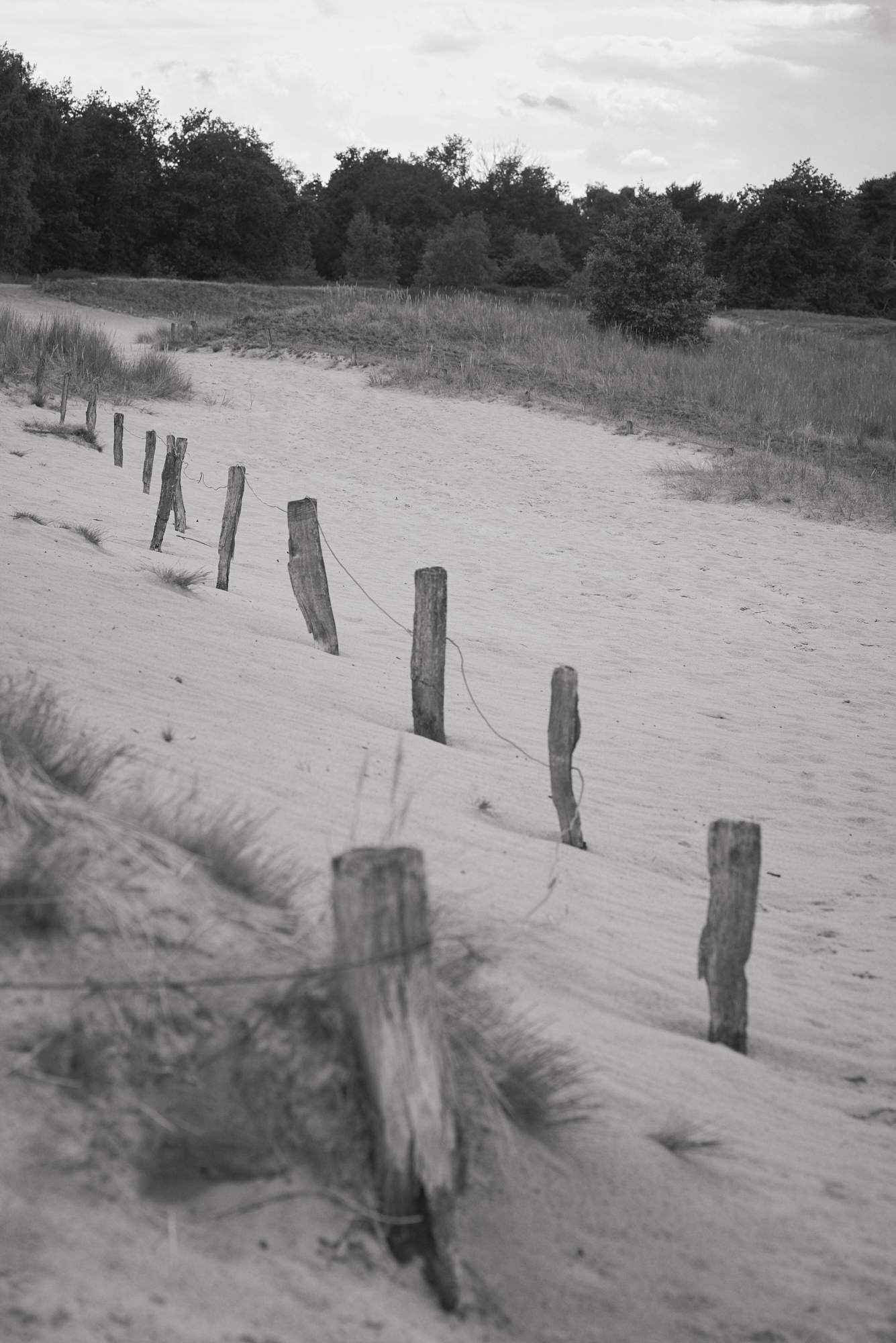 Lena Scherer – Ni..Ten  niten_boberg_natur_008_lowres_web.jpg